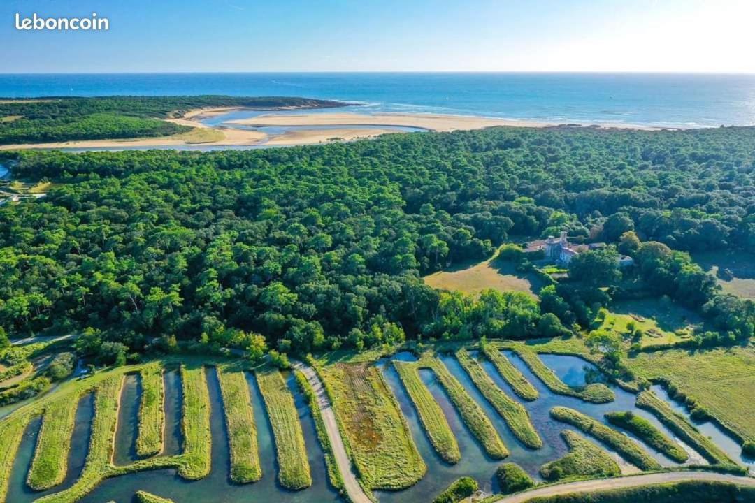 Appartement T2 Au Coeur Du Golf De Port Bourgenay *